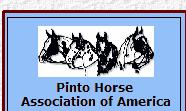 Click here to find out more about the Pinto Breed